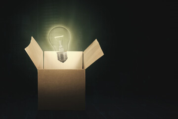 Bright light bulb get out from the cardboard box