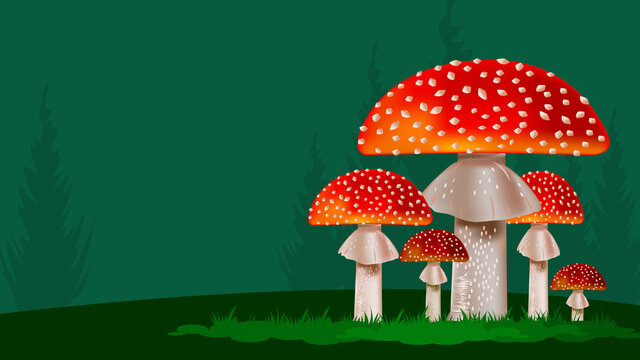 Fly agaric. One of the varieties of mushrooms. Inedible mushrooms on a green background. Background.



