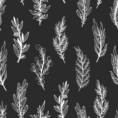 Seamless pattern rustic branch hand draw style. Floral drawing background.