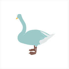 Graphic sketch. Swans. Pattern.Image on white and colored background.