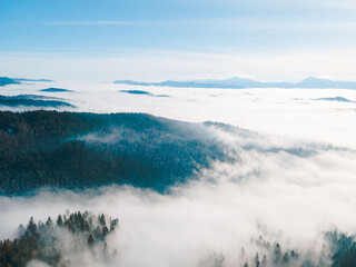 landscape view of winter carpathian mountains