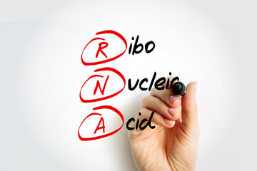 RNA - Ribonucleic acid acronym with marker, medical concept background - obrazy, fototapety, plakaty