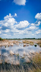 Wundersch&ouml;ne Naturaufnahme