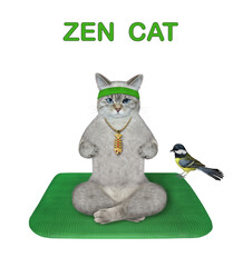 An ashen cat in a headband is doing yoga exercises on a square green fitness mat. Zen cat. White background. Isolated.