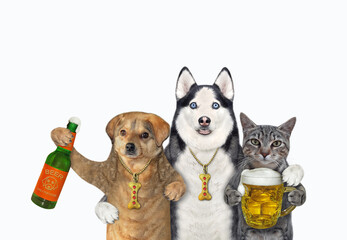 Two dogs and a gray cat are drinking beer beer together. White background. Isolated.
