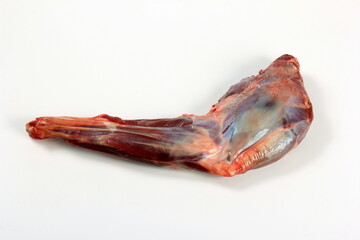 Raw deer leg without skin on a white background. Meat of fresh forest animals 