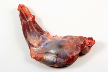 Raw deer leg without skin on a white background. Meat of fresh forest animals 