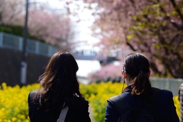 桜並木を見に来た２人の高校生