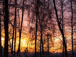 Beautiful, colorful sunset sky view with trees in the dark shadows in foreground in the evening in winter