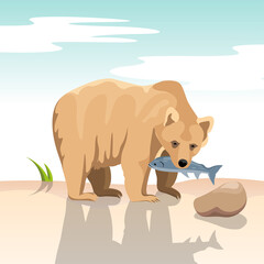 Adult brown bear with salmon in its mouth and habitat. vector illustration