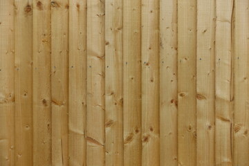 wood panels background