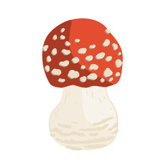 Vector illustration of small Amanita mushroom. Poisonous toadstool fly agaric. White spotted red mushroom isolated on white background