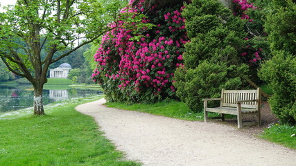 Scenic view of a bench and path in a beautiful park garden
