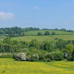 Obraz premium Scenic landscape view of rolling countryside with fields and trees in rural England