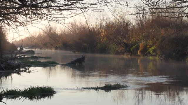 Flowing river early morning in an idyllic scene