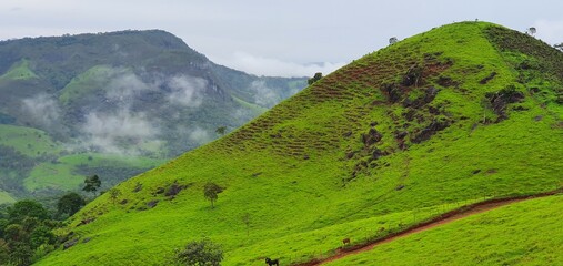 Paisagem 