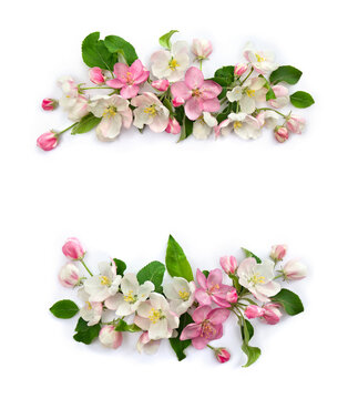 Fototapeta Frame of flowers apple tree, pink and white blossom on a white background with space for text. Top view, flat lay