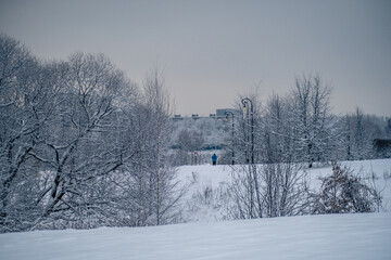 Frosty day. Real winter and snowfall