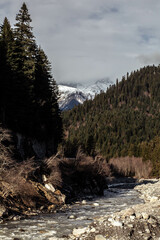 River among trees on a bright sunny day and mountains in the background, vertical shot, general plan