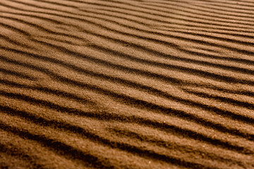 Fototapeta na wymiar Golden Sand