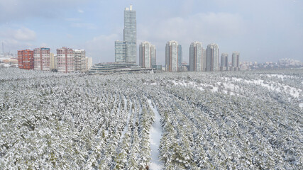 Aerial view of snowy forest and skyscrapers in Capital Of Turkey,ANKARA.