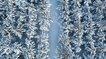 Aerial view of snowy forest and natural life in Ankara,TURKEY.