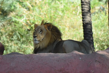 Zoo in Hyderabad