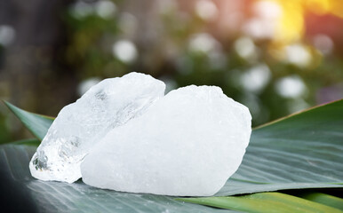 Alum on banana leaf with blurred background.