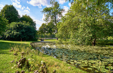 The river runs through the city and trees grow nearby. The water surface is covered with water lilies.