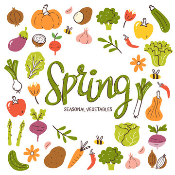 cooking; vitamin; ingredient; health; nature; collection; green; isolated; icon; pepper; fresh; set; illustration; vegetable; asparagus; background; bee; beet; bell pepper; broccoli; cabbage; carrot; 