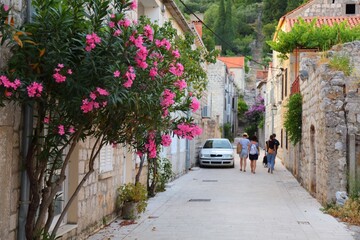 Fototapeta na wymiar Town of Ston, Croatia