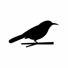 Bird vector icon, bird silhouette design