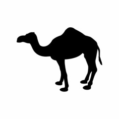 Camel vector icon, camel silhouette design