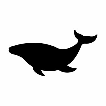 whale vector icon, whale silhouette design