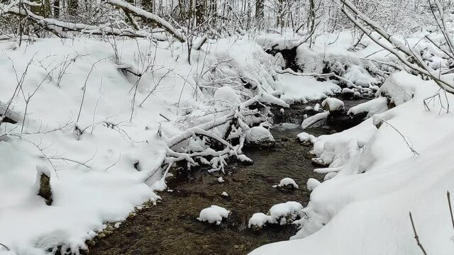 Winter landscape covered with snow.