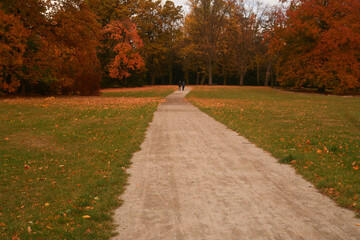 autumn in Park Szczytnicki in Wrocław in Poland