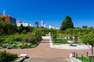 Fototapeta premium 神奈川県横浜市 山下公園