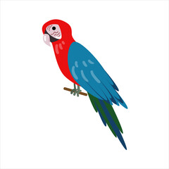 Ara parrot. Cartoon style. Isolated over white background. Vector illustration