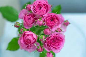 beautiful bouquet of pink roses