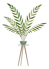 Exotic plant on pot stand. Urban jungle houseplant