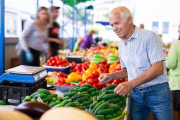 Fototapeta premium retired european man buys cucumbers and tomatoes in market