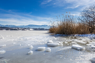 Frozen Lake “Simssee” and Reeds in front of Snowy Mountains in Bavaria, Germany, Europe