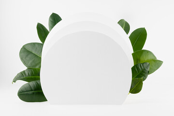 Fresh natural summer vacation eco abstract stage mockup for presentation cosmetic product, design, advertising with white semi circles as podium with tropical glossy green leaves in sunlight.