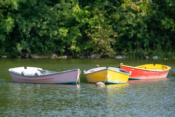 Colorful Rowboats on a Lake