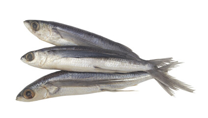 Three raw tropical flying fishes isolated on white background