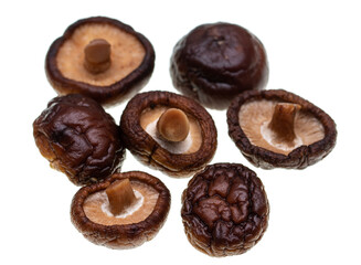 shiitake mushrooms on white background