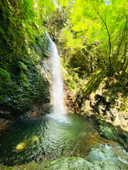 「払沢の滝」写真