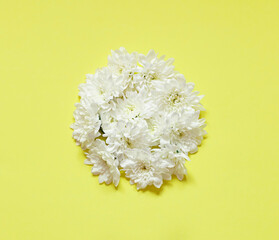 White chrysanthemum flowers circle frame on the yellow background.