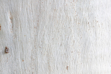 Real nature texture great for background