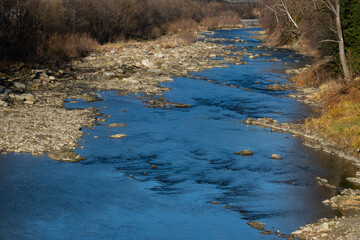 Carpathian forest. Small mountain river in the Carpathians